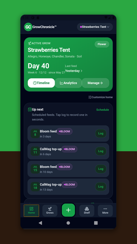 GrowChronicle Home — active grow, upcoming feeds and one-tap logging
